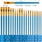 20 Pieces Paint Brushes Set for Acrylic Painting, Oil Watercolor Acrylic Paint Brush, Artist Paintbrushes for Body Face Rock Canvas, Kids Adult Drawing Arts Crafts Supplies, Blue